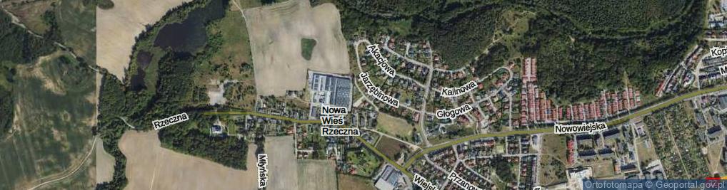 Zdjęcie satelitarne Leszczynowa ul.